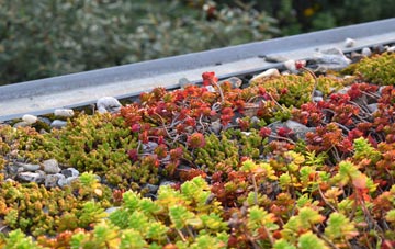 the cost of Devizes green roof installation