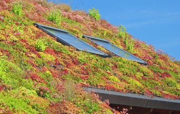 Devizes living roof systems