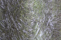 Devizes fibreglass roof work